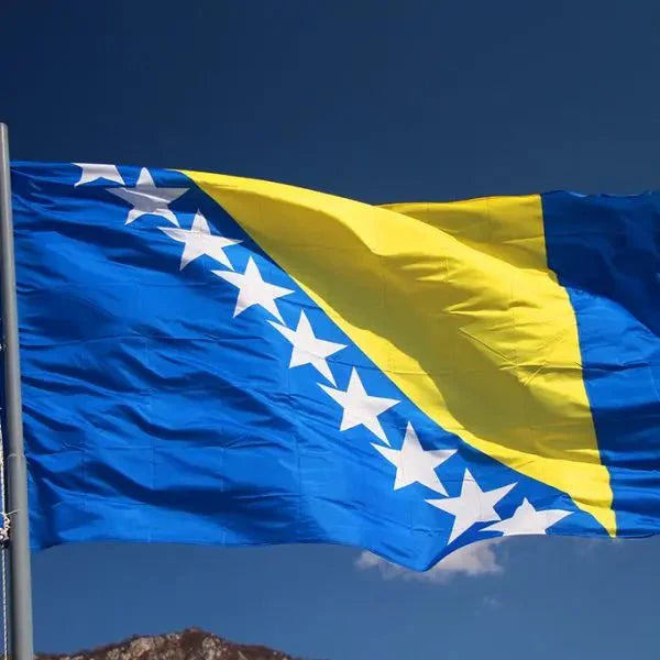 Bosna i Hercegovina Flag