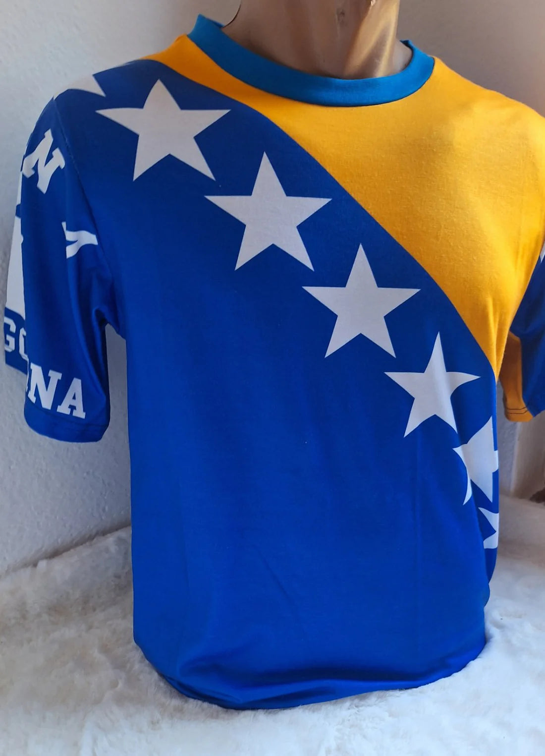 BiH T-Shirt
