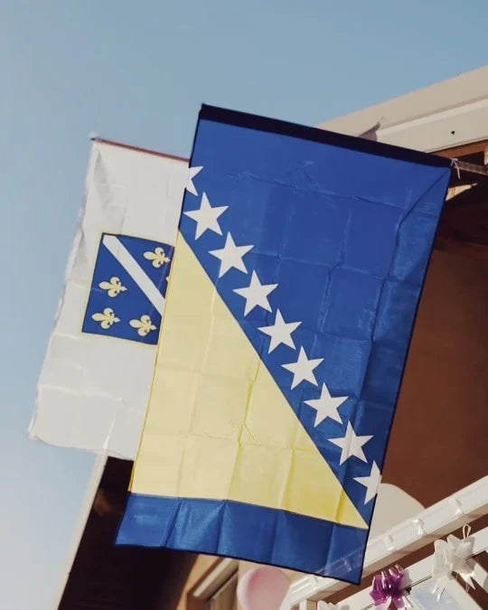 Bosna i Hercegovina Flag